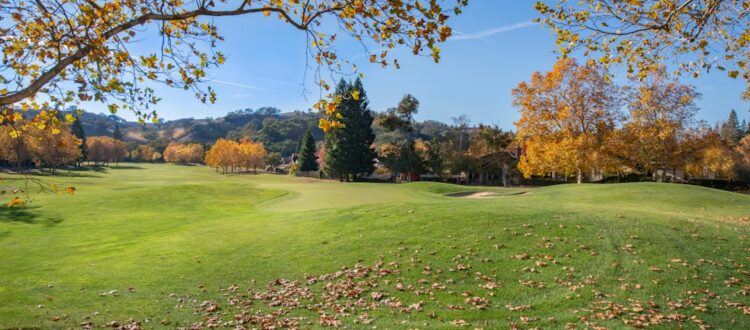 Photo West Palm Beach Charter Bus Rental