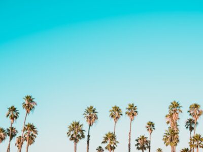 Photo Family Reunion Transportation Miami