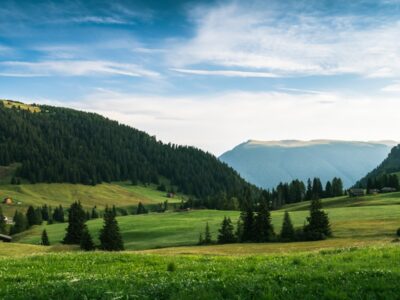 Photo Wynwood Event Transportation