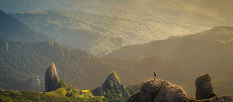 Photo West Palm Beach Group Transportation