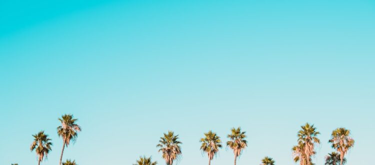 Photo South Florida Family Vacation