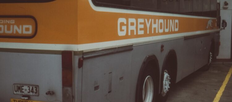 Photo Charter Bus Rentals